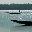 Nature of Orissa, Ecotourism Orissa, Chilika Lake Tours, Bhitarkanika Tour, Wildlife of Orissa, Satkosia Gorge Eco Camp, Wildlife Tours Orissa, Nature Conservation Orissa : Grass Routes 